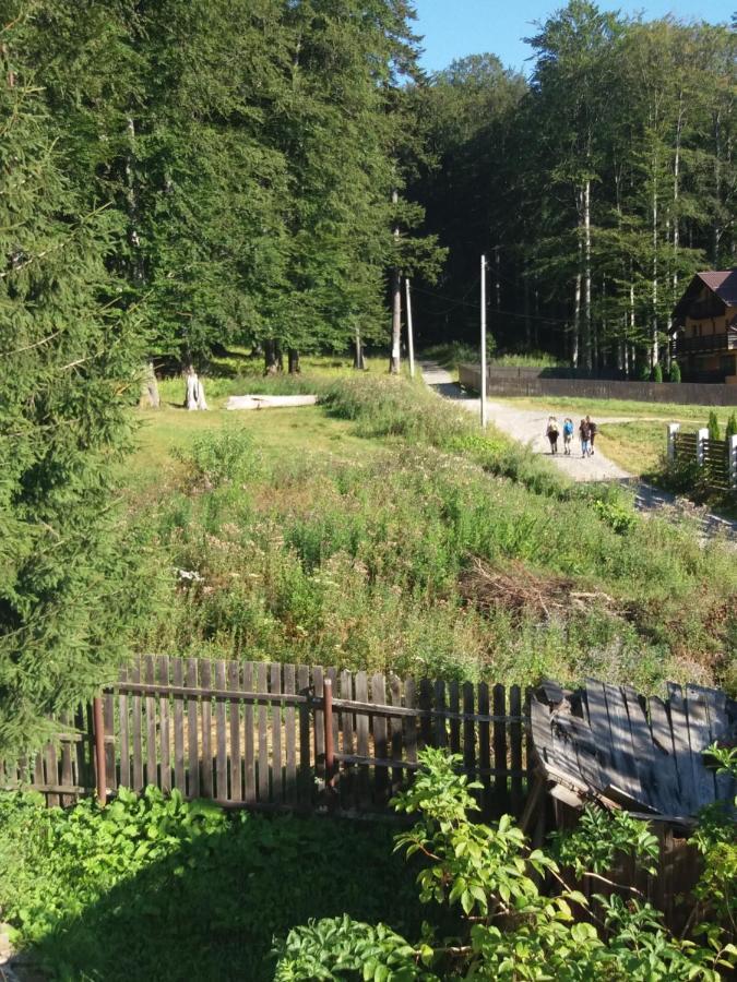 Apartament La Poteca Ursului Apartman Szászbuda Kültér fotó